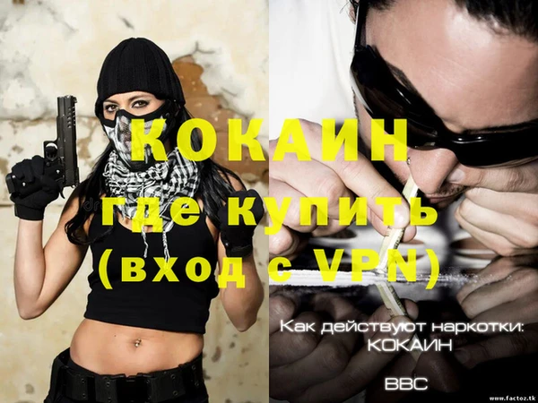 PSILOCYBIN Кулебаки