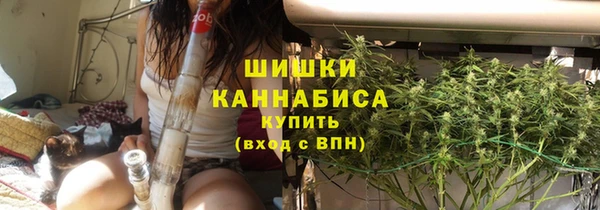 PSILOCYBIN Кулебаки