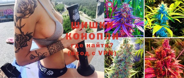 PSILOCYBIN Кулебаки